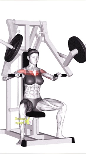 The chest press machine is one of the most important chest exercise machines in the gym, and it i...