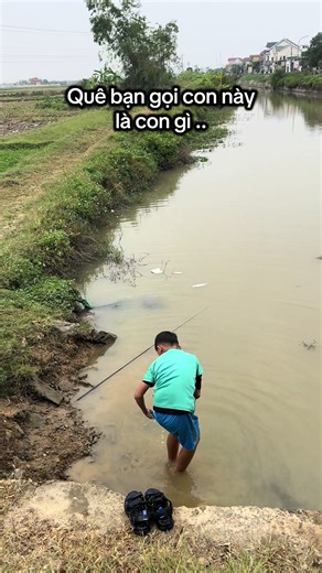 Identify This Animal in Your Region