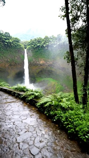 In Indonesia, this hidden gem in East Java is a massive semicircular waterfall featuring a thousand silken streams, lush tropical ferns, and sheer moss-covered cliffs. #travel | Indonesia Hidden Gems