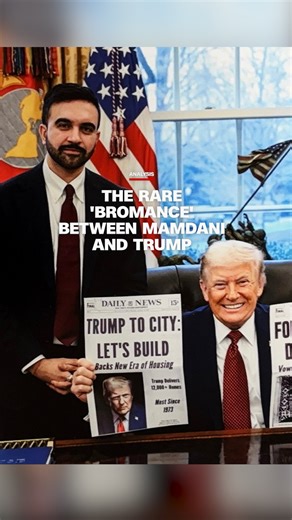 CNN's David Chalian analyzes the curious and unique political relationship between President Donald Trump and New York City Mayor Zohran Mamdani. Read more: https://cnn.it/4tZqLGU | CNN Politics