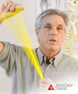 Fascial Movement Videos | Fascia in Movement Webinar Series