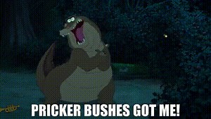 Pricker bushes got me!
