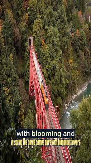 Top 10 Scenic Train Routes in Japan Every Traveler Should Know