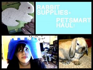 What you need when you get a rabbit + Huge PetSmart bunny haul!