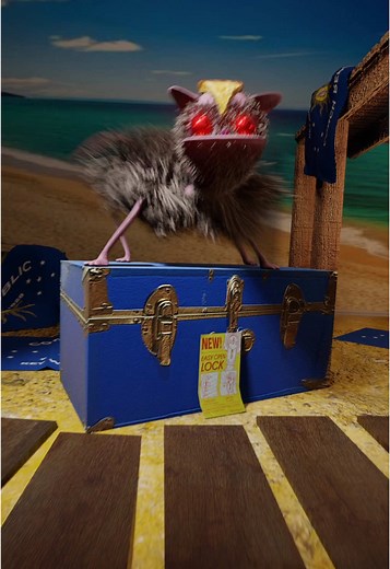 Rock Lobster Songs and Cooking Recipes Compilation