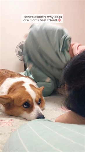 This video should be your daily reminder that dogs are simply the best 🥹❤️ | The Woof World