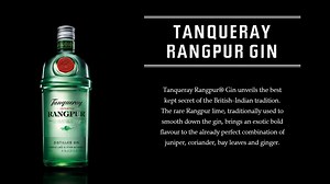 Ginebra Tanqueray Rangpur (1 L) a 20,32 €