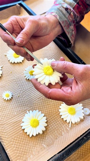 Before: little pieces of glass 🌼 After: the cutest daisies you’ve ever seen 😍✨ Made right here at Fusion Glass Studio. ##glassart##fusionglassstudio##eagleidaho##idahomoms##holidayDIY