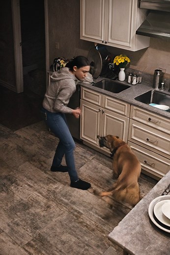 The wife complained that their dog constantly attacked her for no reason: the husband didn’t believe her and decided to install a camera to watch his wife and the dog, but what he saw on the screen shocked him 😨😱 One morning, the wife came out of the bedroom looking deeply offended. She walked up to her husband, pulled up her sleeve, and showed a blue-red mark on her arm. “We need to take this wild dog to a shelter,” she said in a trembling voice. “What happened?” the husband asked, frowning.