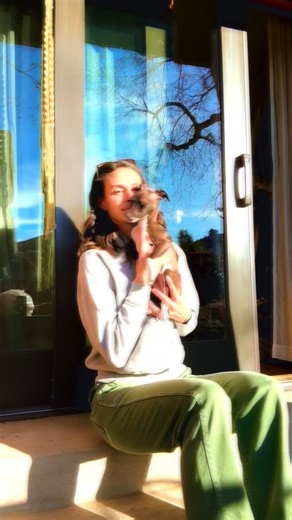 MCA Vintage Revival Shop on Instagram: "While I’ve been away … I finally became a mom again! 🐾🐾🐾 Meet Rocket Roanee, a 4 month old Italian Greyhound, with big shoes to fill after his late Iggy brothers. Sorry for our absence, we’ve been trying to adjust and grow out of puppy shark terror mode. Oh and we’ve also been updating the website! (since he can’t chew up my computer!) More than 125 new items have been added to the site, including 65+ pairs of vintage Levi’s denim jeans. More true vinta