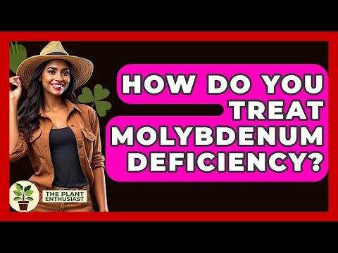 How Do You Treat Molybdenum Deficiency? - The Plant Enthusiast