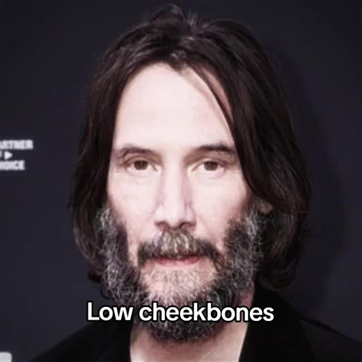 Comparing Low vs High Cheekbones: Sean O'Pry & David Gandy