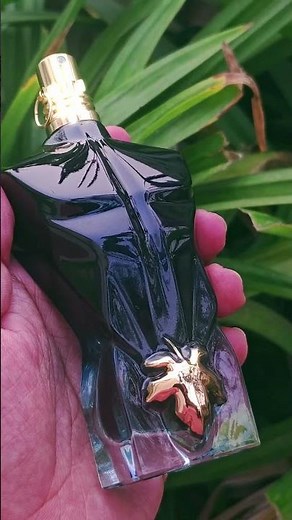 3 Best Jean Paul Gaultier Perfume flankers you must get!