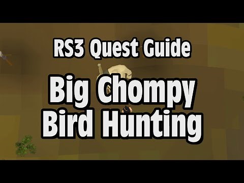 RS3: Big Chompy Bird Hunting Quest Guide - RuneScape