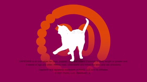 Capstar Fast-Acting Oral Flea Treatment for Cats – 6 Doses