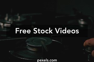 dogs%2Bmating%2Bclose%2Bhard