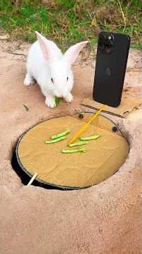 Unique DIY Rabbit Trap Using Paper and Phone Hole #survival #Outdoors#bushcraft