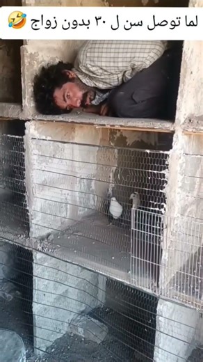 #العشق#اكسبلور_فولو#الاردن#حمام#سوريا