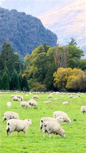 La Nouvelle-Zélande, signé Voyages Lambert