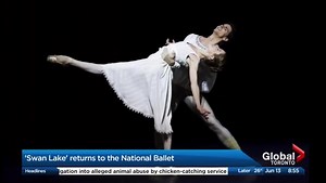 Swan Lake returns to the National Ballet