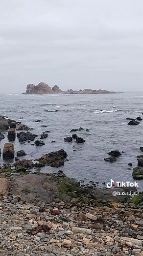 Los Vilos es una ciudad y comuna del Norte Chico de Chile, la más austral de la región de Coquimbo, ubicada en la provincia de Choapa, La ciudad cuenta con un puerto denominado Puerto Punta Chungo que embarca el material de la mina Los Pelambres, la pesca es una de sus principales actividades, la ciudad también tiene una importante cantidad de turismo., principalmente por sus dos playas: La Principal y Las Conchas, se encuentra a 246 kilómetros de La Serena y a 224 kilómetros de Santiago.#losvil