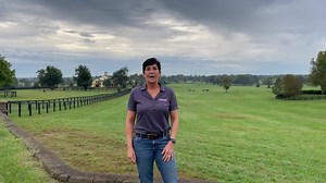 We are honored to invite you to join us in the horse capital of the world for the 2021 Hagyard Bluegrass Equine Symposium! 🐎🌟 Click here for the registration form: bit.ly/BluegrassSymposiumRegistration 🐎Equine reproduction focus 🤩Amazing speakers 🏙 Beautiful downtown city 🎊Raffle for early registrants! Click here for more information: https://www.hagyard.com/newsroom/bluegrass-symposium | Hagyard Equine Medical Institute