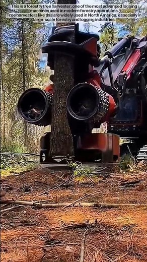 Heavy Logging Machines at Work! #shorts
