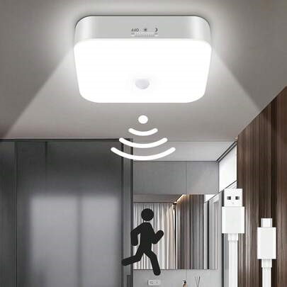 1pc/2pcs Modern Motion Sensor LED Ceiling Light, 500LM High Brightness 10000mAh Rechargeable Battery Operated Wireless, Day And Night Two Operating Modes Motion Sensor Light, Suitable For Entrance, Kitchen, Stairs, Corridor, Food Pantry, Porch, Garage | SHEIN