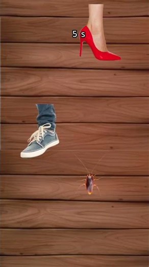 I'm a funny cockroach #meme