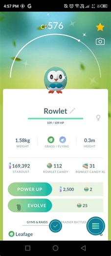 Pokemon Go – a shiny Rowlet and Dartrix in Good Friday 😭