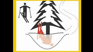 Must Read: Tree Wells Account For 20% of All Ski Area Deaths