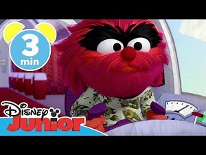 Muppet Babies - Clip: Tier will Pilot werden | Disney Junior