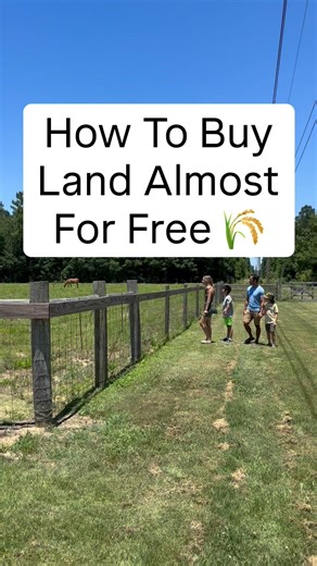 How To Buy Land Almost For Free