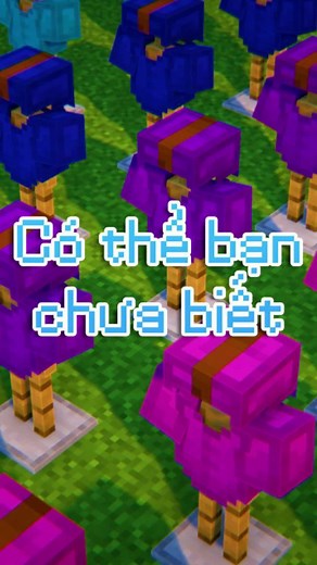 Mẹo Chỉnh Sửa và Nhuộm Giáp Trong Minecraft