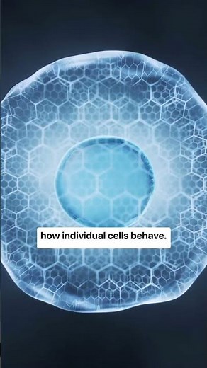 What is DNA?
