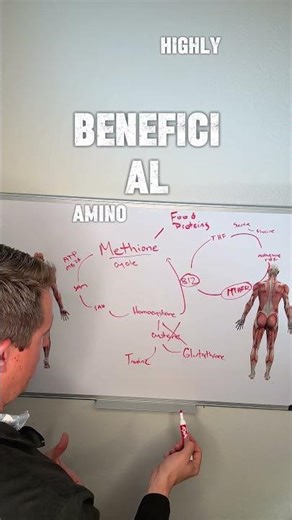 The Detox Pathway Most People Miss with High Homocysteine
