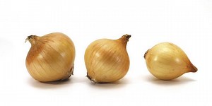 How to Grow Hydroponic Onions