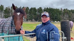GET VACCINATED | It's odds on the most important thing we can do! We're all in this together 💪 Keep racing on track - NZTR, Harness Racing New Zealand, TAB, Greyhound Racing New Zealand. | LOVERACING.NZ
