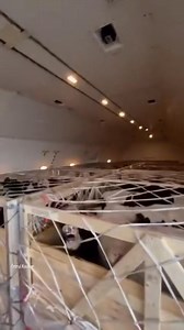 32K views · 274 reactions | Cargo Flights with Cow ❤️❤️❤️ | Cow Mandi ( Bakra Eid in pakistan ) | Facebook