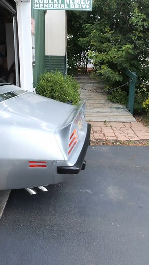 49K views · 1.5K reactions | 1975 Pontiac Firebird Trans Am (V21113). | Native American Culture | Facebook