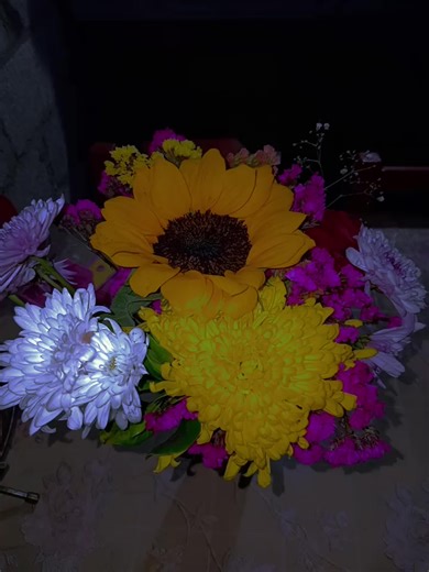 Videos de Paola GXZ.... (@agust_dmvlpaola) con “sonido original - B Music Group”