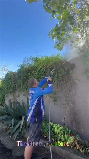 Scraping | Cleaning | Pressure Washing | Edging | Cutting #shorts #satisfying #gardening