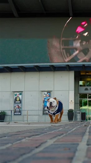 Let’s Go Racing! Want to join me this FRIDAY at the annual Butler Men’s Basketball Checker Out game? Tag a friend below for a chance to win our Winner’s Circle ticket package. This includes 2 tickets to the game, a $25 concession voucher and a VIP photo with the Borg-Warner Trophy. 🏆🏁 | The Butler Blue