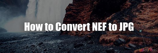在Mac和Windows上将RAW NEF转换为JPG的3种最佳方法