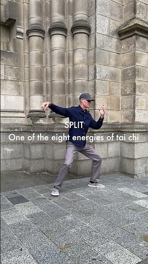 Tip: Tai Chi: The Energy of Single Whip #taichi