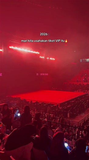 BTS Concert VIP Experience: Behind the Barricade