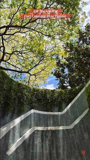 초록초록한 포트캐닝공원💚 #fortcanningpark #fortcanningtreetunnel #singapore #trip #싱가포르 #관광지 #포트캐닝파크 #포트캐닝나무터널