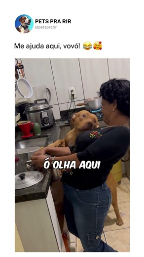 Usando a vó como escudo emocional 😂❤️