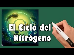 The Amazing Nitrogen Cycle 🌱 in Biology Class