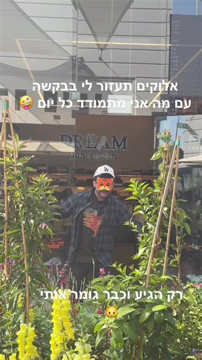 הסרטונים של Dan Avidan Dream (@dreamdanavidan) עם צליל מקורי - Dan Avidan Dream